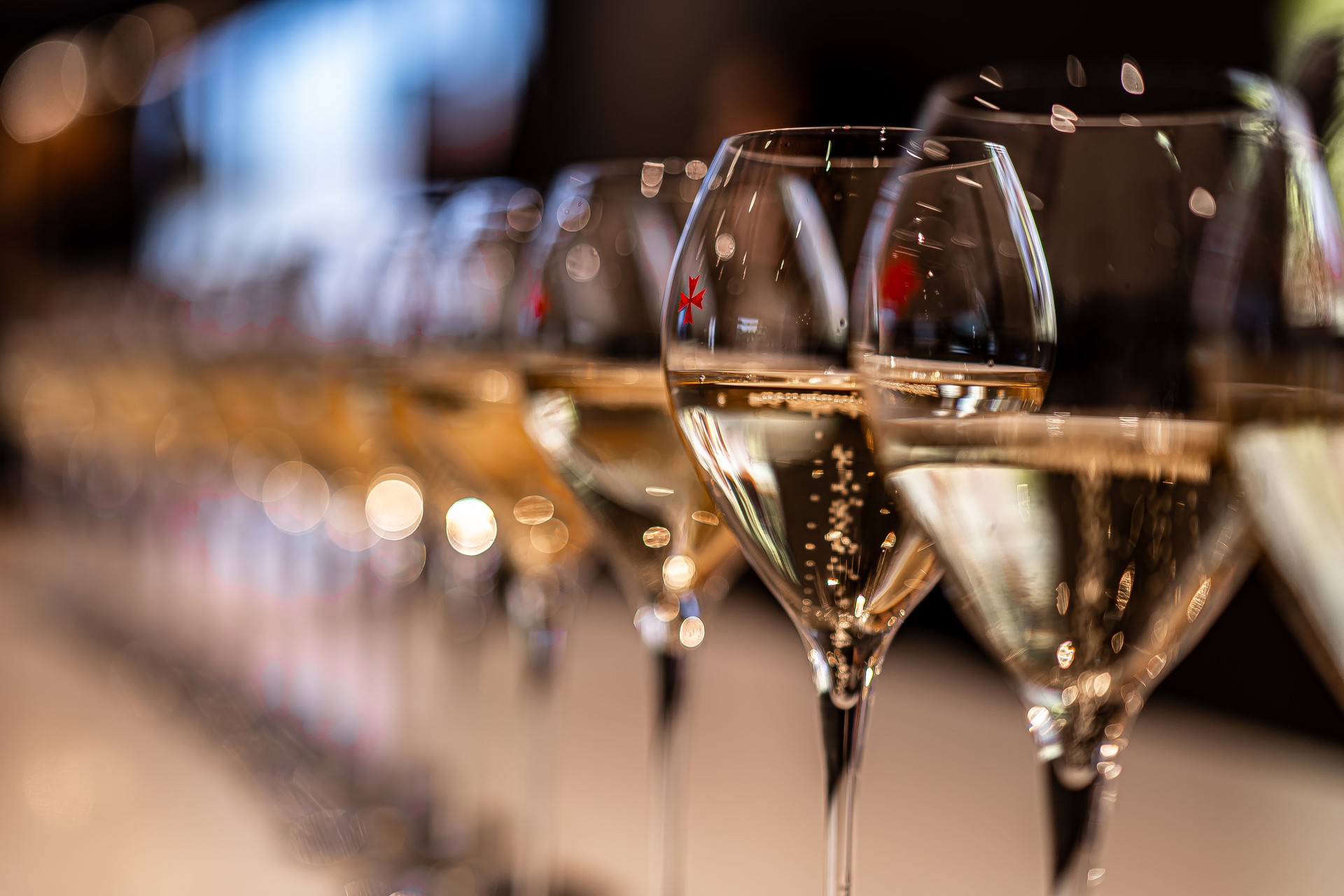 catas de mezcal, tequila y destilados de agave exclusivos artesanales 